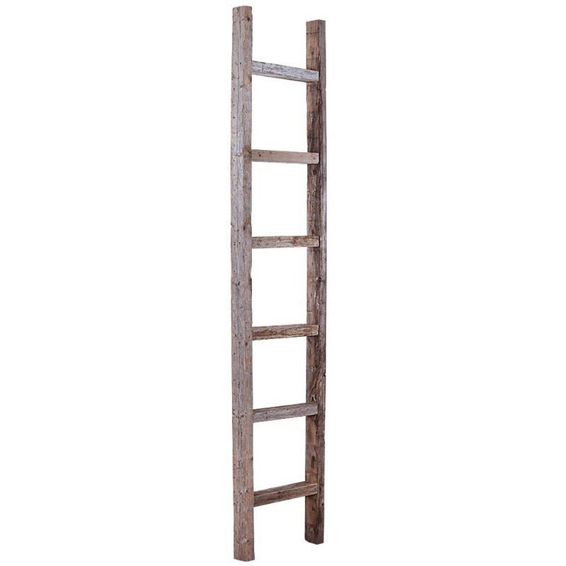 August Grove® 48'' Tall Solid Wood Blanket Ladder & Reviews Wayfair